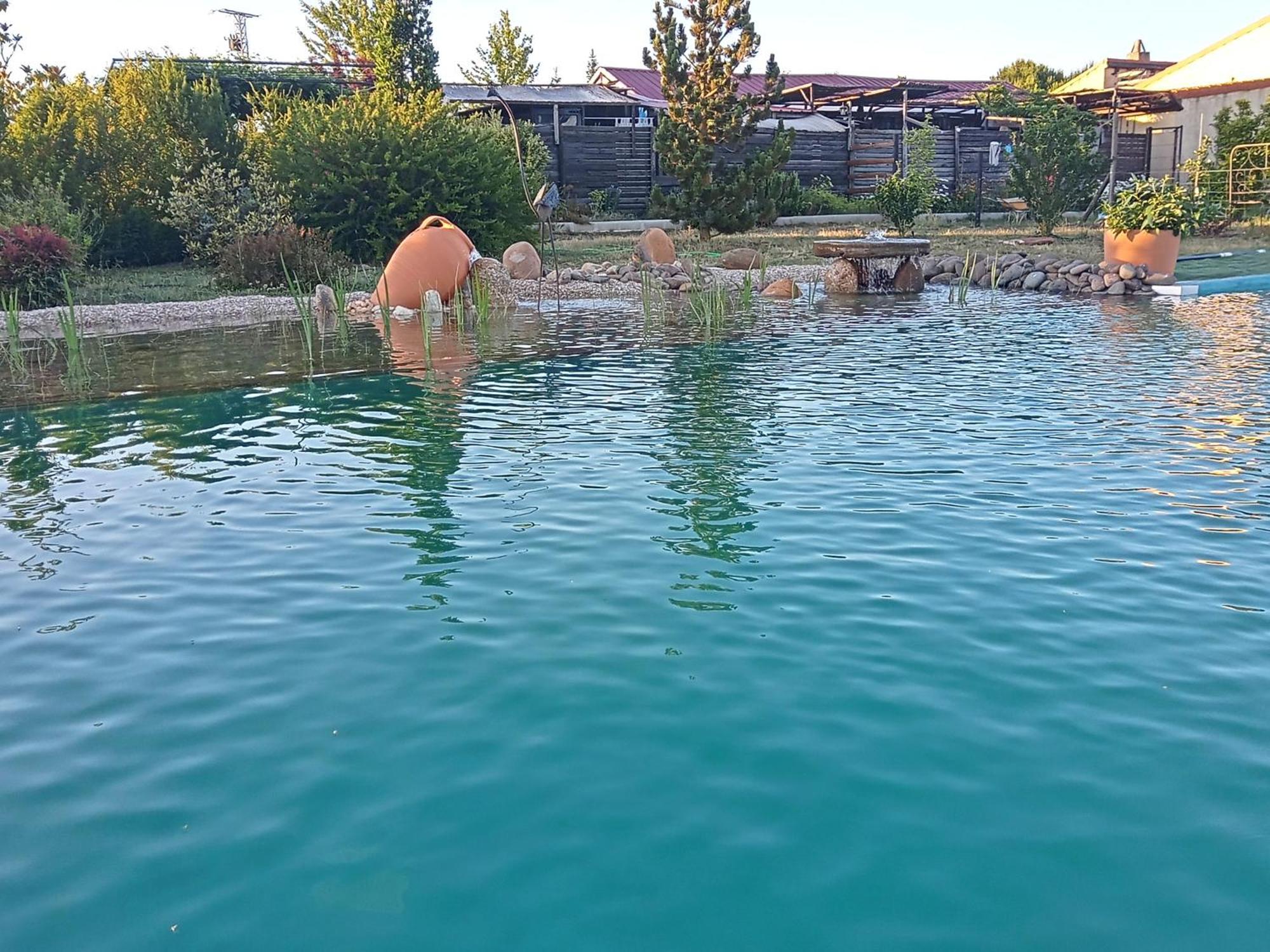 Hotel Albergue Bioclimatico Sabinares Del Arlanza Puentedura Exteriér fotografie