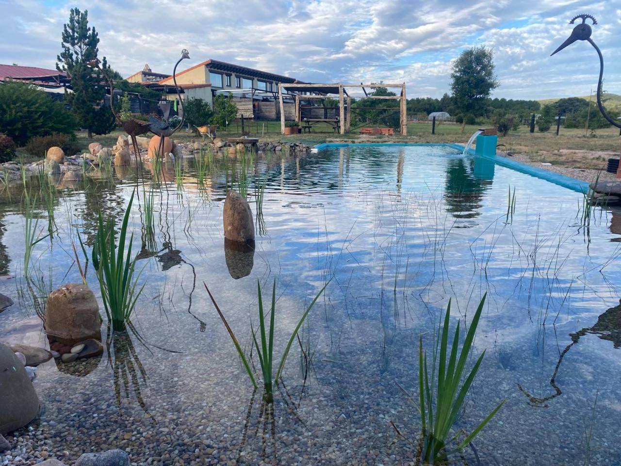 Hotel Albergue Bioclimatico Sabinares Del Arlanza Puentedura Exteriér fotografie