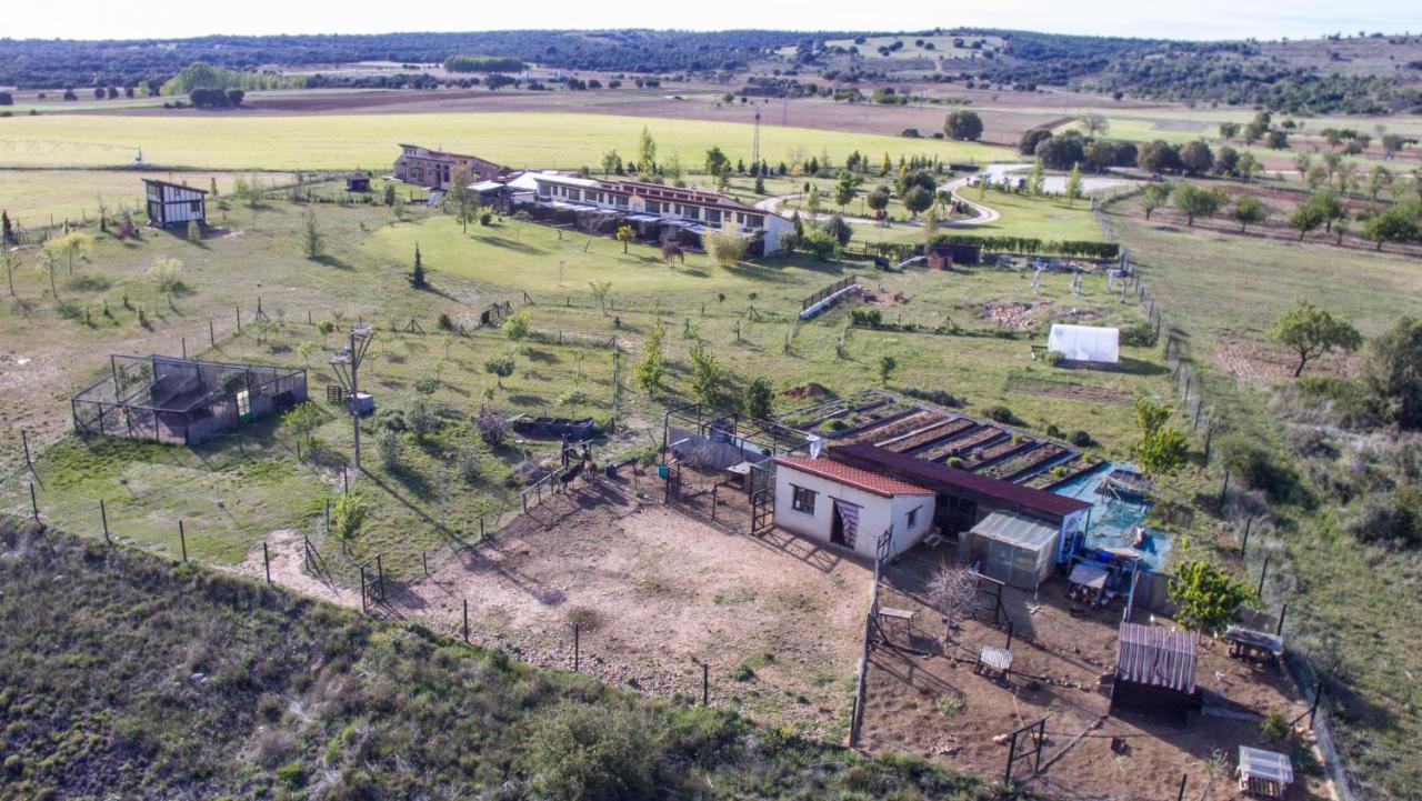 Hotel Albergue Bioclimatico Sabinares Del Arlanza Puentedura Exteriér fotografie